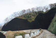 ゆうきひミックス石川