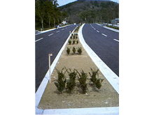 防草土 スペッド